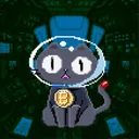 Cryptotica Spaceship logo