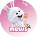 Crypto Judy logo