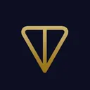 this is TON logo